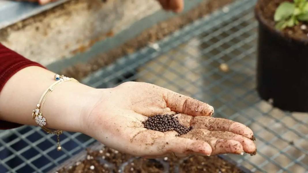 ATASEM’de Toprakla Buluşan Kursiyerler Teoriden Pratiğe Uzanıyor! 6